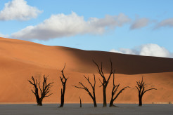 squiver namibia