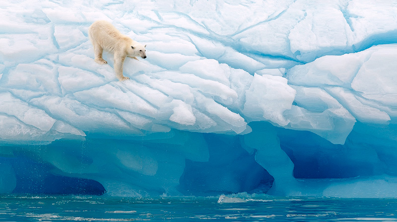 Tours-Svalbard-Polar_bear_iceberg - Squiver